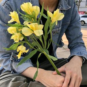 李晨晨0h2Y 头像