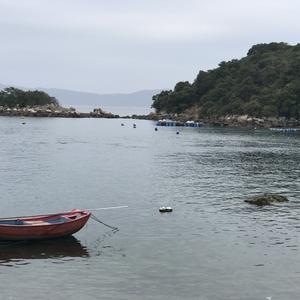 贝塔贝儿塔 头像