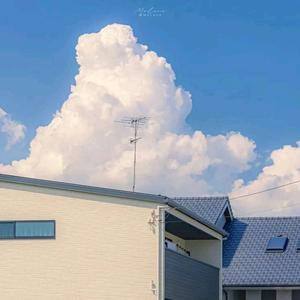 海绵宝宝： 头像