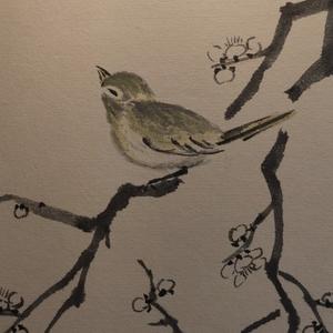 安静的生活家 头像