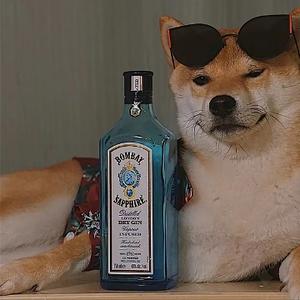 黄大胖子说酒 头像