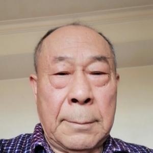 戴淑年