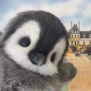 来一勺芝麻酱 头像