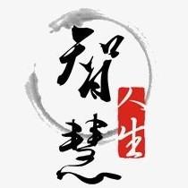 智慧人生9100 头像