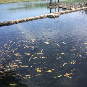 留金岁月UpLj 头像