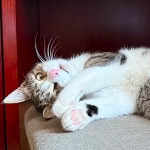 幸运暖阳xJ 头像