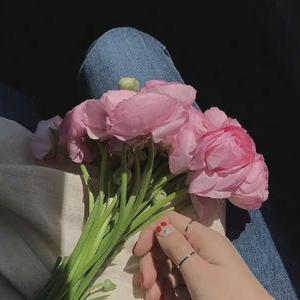 招好运呀