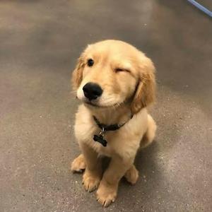 困在世俗里 头像