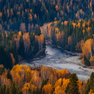游戏界百事通 头像