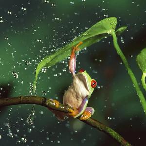 晴天的雨点丶 头像