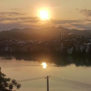 林中穿梭的鹿 头像