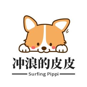 冲浪的皮子 头像