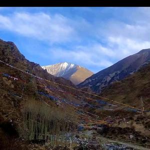 西藏大健康 头像