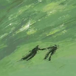 今日小松说事 头像