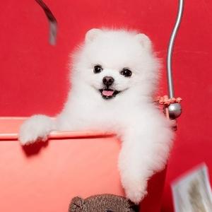 每天一点IT 头像