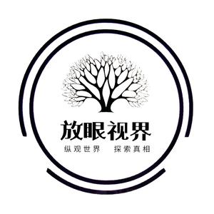 放眼视界EarthWide 头像