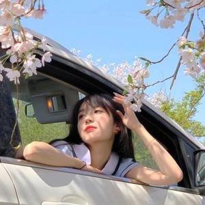 有薄雾的秋日