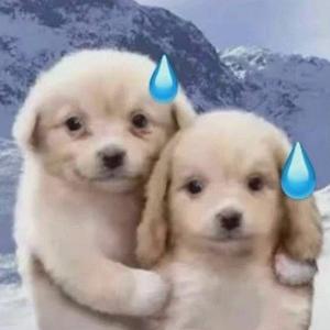 吃不胖的瘦瘦呀 头像
