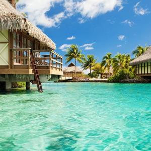 小姑凉爱汽车 头像