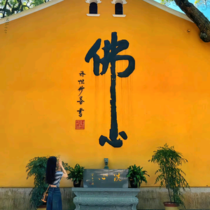 陕南吕小布 头像