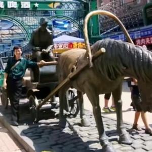 黑龙江畔的知青张大丰 头像