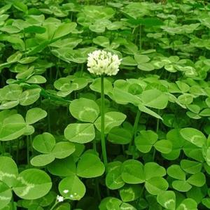 投标知识汇 头像