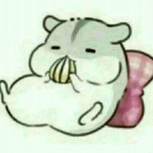 滴滴豪华孟先生 头像