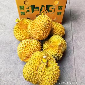 陆明鲜生头像