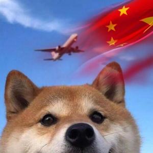 是阿泽.(养基上分版) 头像