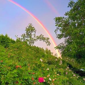 南风观世界 头像