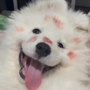 冲浪达人菠萝 头像