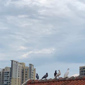 爱生活的努力上岸 头像