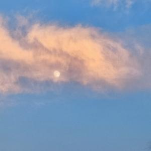 快乐橙子爱阅读 头像