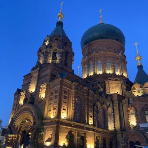 东北偏北的taotao 头像