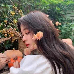 神奇女侠i 头像