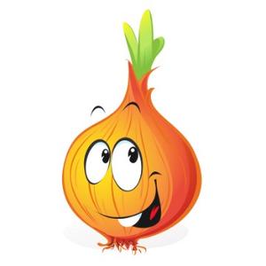 洋葱文案馆oo 头像