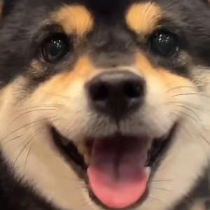 随性自由的星辰0qo 头像