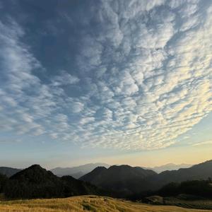 健健带你玩祖国 头像