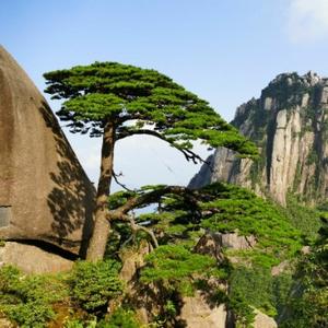 当代故事会 头像