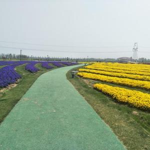 用户4914492115109 头像