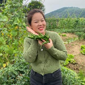 香兰瓜9d7R 头像