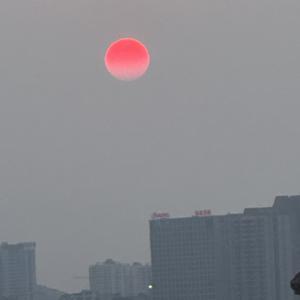 积极的开心的老李 头像