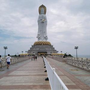 颠沛流离9T7o 头像