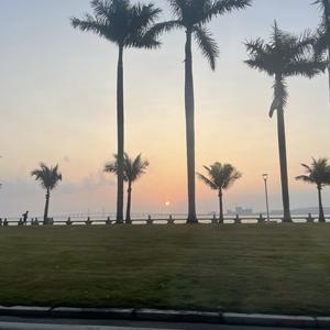 Bibi在澳门 头像