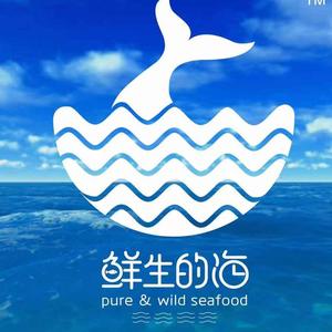 东山岛鲜生的海头像