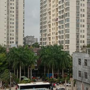 坚定的信念W