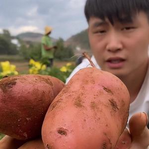 鲜果美食铺头像