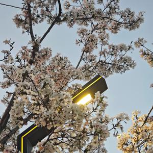 好剧推荐一下 头像