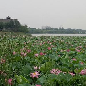 碧海蓝天279329821