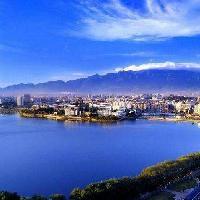 阿飞新颖说 头像